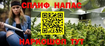 ГАЛЛЮЦИНОГЕННЫЕ ГРИБЫ Свободный