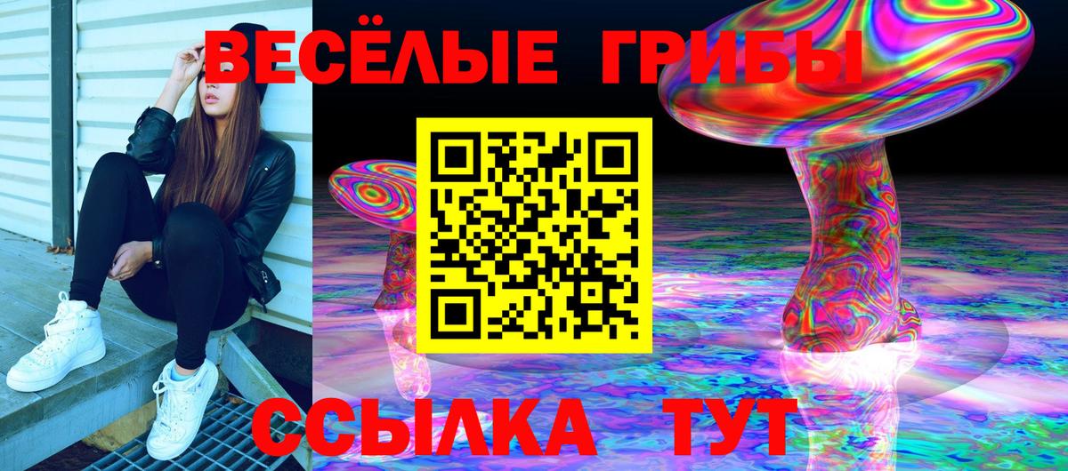 Псилоцибиновые грибы Magic Shrooms  Вход с VPN  Галлюциногенные грибы Psilocybine cubensis  Большой Камень 